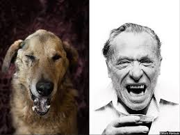 Unlu Yazarlara Benzeyen Kopeklerin Portreleri Barinak Kopekleri Kopek Charles Bukowski