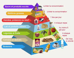 Resultat De Recherche D Images Pour Pyramide Alimentaire A Imprimer Pyramide Alimentaire Alimentaire Aliment Riche En Proteine