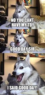 Check spelling or type a new query. Bad Pun Dog Meme Imgflip