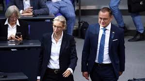 AfD Umfrage: Forsa sieht AfD weiter vor Union – Regierungskoalition ohne Mehrheit?