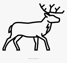 We did not find results for: Deer Coloring Page Hd Png Download Kindpng
