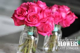 Check spelling or type a new query. How To Make Fresh Flowers Last Longer Flowers Last Longer Summer Flower Arrangements Fresh Flowers