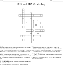 At the bottom of the page to answer the clue. From Dna To Proteins Crossword Wordmint