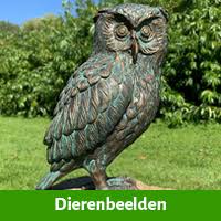 Á 60 Jaar Man Cadeau Gefeliciteerd Verras De 60 Jarige Man
