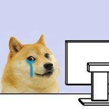 We are doge memes and shibes. Doge Cries Blank Template Imgflip