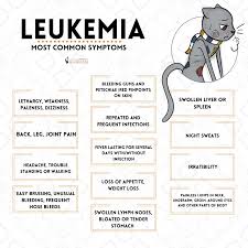 In addition, not every child with blood cancer has the same symptoms. Types Of Childhood Cancer Acco