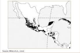 1 The distribution of Mesoamerican tropical dry forest in the year 2000