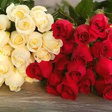 In just one click you can send. Same Day Flower Delivery In Miami Mia Roses Flower Shop