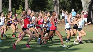 Fort Walton Beach, Niceville cross-country claim Okaloosa titles