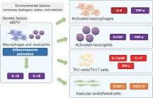 Frontiers | Interleukin-6 inhibition in the treatment of ...