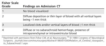 Image result for Hemorrhage Classification