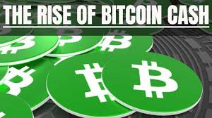 This is an extremely high probability. Bitcoin Cash The Rise Of Bch Is Bitcoin Cash Here To Stay Youtube