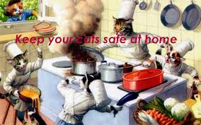 But if you eat an excessive number of avocados, then they too can. 5 Cat Hazards You May Not Know Cat Wisdom 101 Everything Feline Since 2011