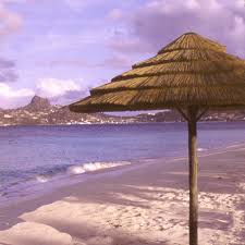 They could make the roof. African Cape Reed Thatch Umbrella Kit Tiki Torches Outdoor Patio Torches
