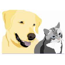 A drop off appointment is when your pet is left with us for their visit with a doctor. Pet Vet On Patton Petvetonpatton Twitter