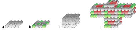 We did not find results for: Introduction To Mammalian Cell Culture Science Lab Leica Microsystems