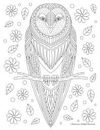 Being that they are relatively not used to this world, and so are exceedingly curious and perceptive, they consider each fresh hue and color to be beautiful and remarkable, unlike us, who've learned to consider all the colors in the globe for granted, and don't even look twice at any new shade as such. Owl Adult Coloring Page Woo Jr Kids Activities