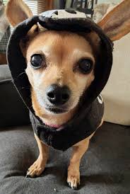 Just say hi ! So we know you are still active in this group❤️😍