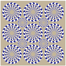 Optical Illusions Art Gallery - Little Passports