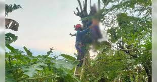Pantauan kompas.com, beberapa wilayah depok seperti sawangan baru, mampang, pancoran mas, dan sekitarnya terdampak pemadaman listrik. Uhexsksdeokxsm