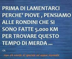 Frasi Mattina Non C è Niente Di Speciale Ad Essere Normale Pin Di Sara Contadina Su Parole Sante Citazioni Divertenti Citazioni Umoristiche Brevi Battute