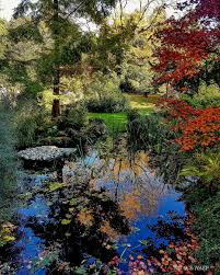 Das grün der pflanzen setzt glückshormone im. Herbst Im Japanischen Garten Autumn In The Japanese Garden Japanischergarten Japanesegarden Leverkusen Rheinlan Japanischer Garten Garten Design Garten