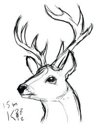 Image Result For Easy To Draw Deer Head Animal Drawings Sketches Cool Art Drawings Animal Drawings