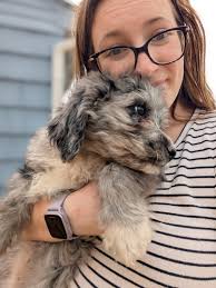 Raw feed sources in San Antonio, TX area?