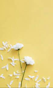 15 Day With Taeyong Wallpaper Musim Semi Wallpaper Cantik Wallpaper Kuning
