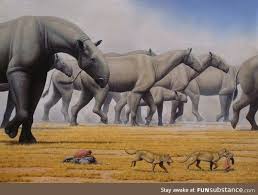 Paraceratherium The Largest Land Mammal Ever Funsubstance Ancient Animals Prehistoric Animals Extinct Animals