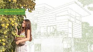 Mana Foliage Villas Photos Facebook Encuentra también dúplex en alquiler y dúplex obra nueva en villamanta. facebook