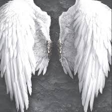 Black And White Angel Wings Wallpaper Pin By Griffin Elias On Ponderings Lucifer Wings Wings Wallpaper Angel Wallpaper