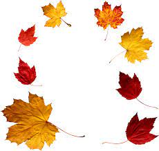 Autumn Leaf Png Image Autumn Leaves Png Png Images