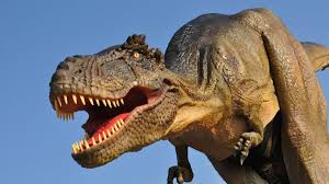 Frost cake pieces with remaining frosting. Lifesize Dinosaurs Are Coming To A Welsh Park For Easter 2019 Wales Online