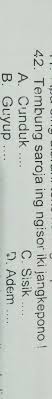 Check spelling or type a new query. Tembung Saroja Ing Ngisor Iki Jangkepono A Cunduk B Guyub C Sisik D Adem Brainly Co Id
