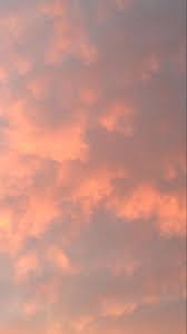 Nov 12, 2020 · the great thing about graphic design trends is that each year arrives with the opportunity for a reset. Pinterest Elisem519 Pink Clouds Wallpaper Plain Wallpaper Iphone Peach Wallpaper