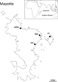 Maksymalna prędkość wiatru, m/s maksymalna prędkość wiatru, mph maksymalna prędkość wiatru, km/h. Sampled Populations In Mayotte Sampling Was Carried Out In Dzoumogne Download Scientific Diagram
