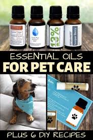 We did not find results for: Essential Oils For Pets Recipes For Dog Fleas Itchy Skin More