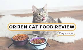 That's why we suggest starting with the guides below, and then. Orijen Cat Food Review What You Need To Know About The Cat Kitten Formula Tinpaw