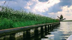 Boating Holidays On The Norfolk Broads | Horning Pleasurecraft – Boat Hire  and Marine Services