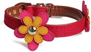 Gotags personalized cat collars with breakaway specialyou personalized engraved cat collar customize leather plaid collar adjustable with nameplate tag. Amazon Com Axgo Adjustable Cute Pu Leather Cat Collar With Adorable Flowers 1 3 X 32cm Red Pet Supplies