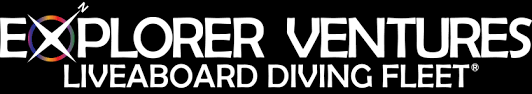 Https Www Explorerventures Com Wp Content Uploads 2020 10 Maldives Covid Travel Requirements Pdf