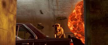 Thankfully i am legend doesn't have that. Best Independence Day W Gifs Gfycat