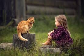 Hi everybody, welcome to our channel. 30 Mind Blowing Health Benefits Of Pets Best Life Animals Pets Animals Friendship