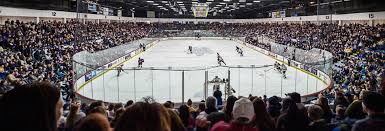 dort federal credit union event center flint firebirds