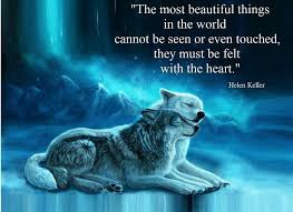 The Best And Most Beautiful Things In The World Cannot Be Seen Or Even Touched Meaning In Hindi The Most Beautiful Things Must Be Felt With The Heart Lone Wolf Quotes Wolf Quotes Animal Quotes