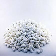 Check spelling or type a new query. Jual Batu Hias Taman Koral Putih Kecil Tanaman Hias Aquascape Terrarium Di Lapak Anjar Souvenir Bukalapak