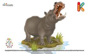 1,477 post karma 2,602 comment karma. Kuda Nil Hewan Paling Berbahaya Di Afrika Hewan Afrika Kuda