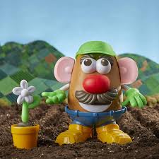 The potato head family expanded to include brother spud and sister yam shortly afterward. Hasbro S Mr Potato Head Goes Green The Toy Book