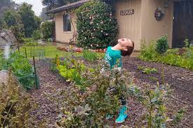 It's really exciting to have a new fall garden to look forward to, while my indiana garden (a bust this fall very nice, i love how you used the paver stones.wish i had an extra garden plot in california this time of year. Effects Of The Cool Wet Spring On Our Southern California Gardens Greg Alder S Yard Posts Southern California Food Gardening